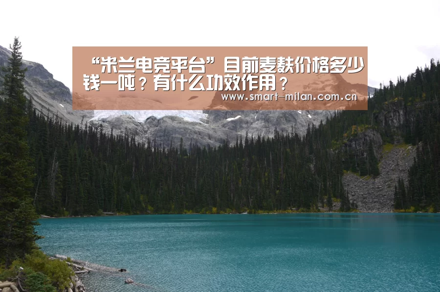 “米兰电竞平台”目前麦麸价格多少钱一吨?有什么功效作用?(图1) 米兰体育官网下载