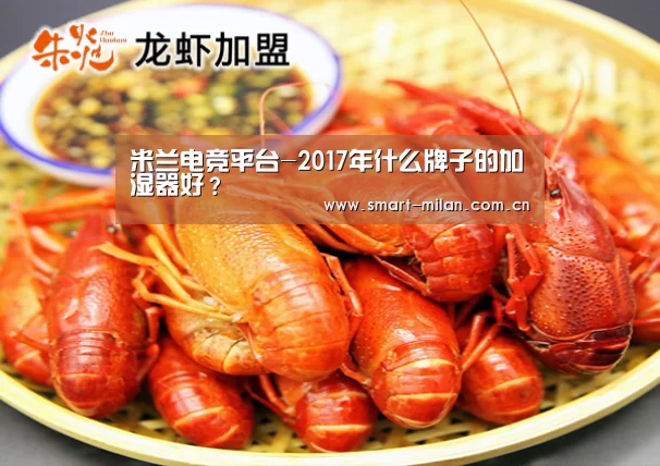 米兰电竞平台-2017年什么牌子的加湿器好?(图1) 米兰平台