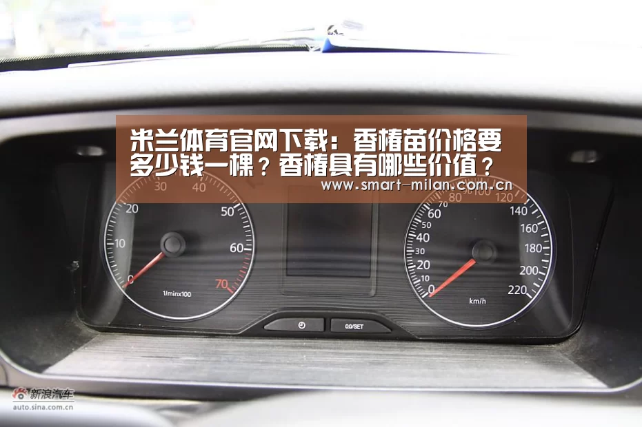 米兰体育官网下载:香椿苗价格要多少钱一棵?香椿具有哪些价值?(图4) 米兰体育官网下载