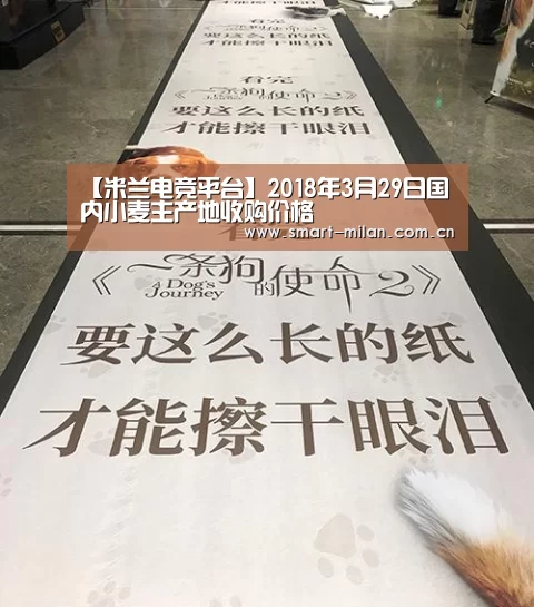【米兰电竞平台】2018年3月29日国内小麦主产地收购价格(图1) 米兰平台