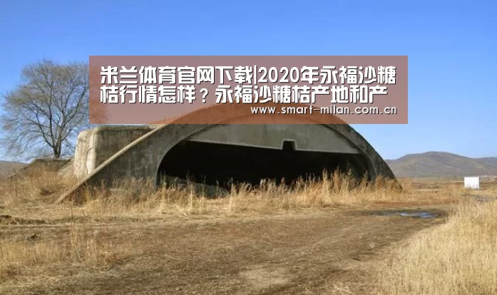 米兰体育官网下载|2020年永福沙糖桔行情怎样?永福沙糖桔产地和产量信息汇总(图2) 米兰体育官网下载