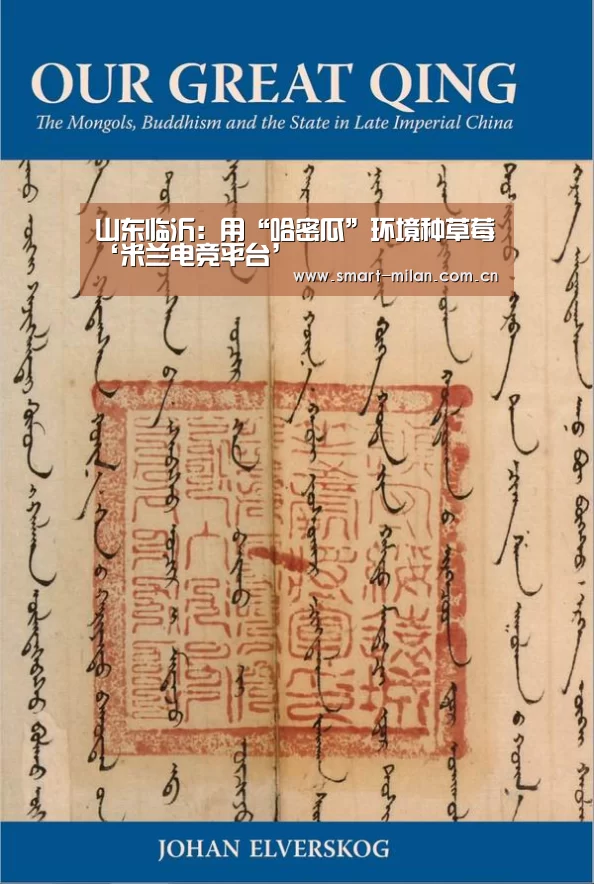 山东临沂:用“哈密瓜”环境种草莓‘米兰电竞平台’(图1) 米兰电竞平台