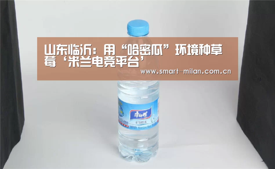 山东临沂:用“哈密瓜”环境种草莓‘米兰电竞平台’(图4) 米兰体育入口