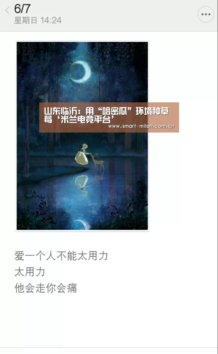 山东临沂:用“哈密瓜”环境种草莓‘米兰电竞平台’(图3) 米兰体育入口
