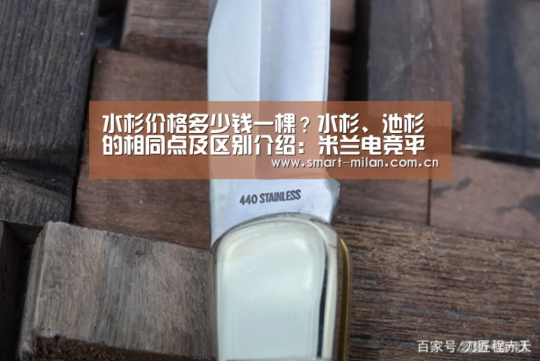 水杉价格多少钱一棵?水杉、池杉的相同点及区别介绍:米兰电竞平台(图2) 米兰平台