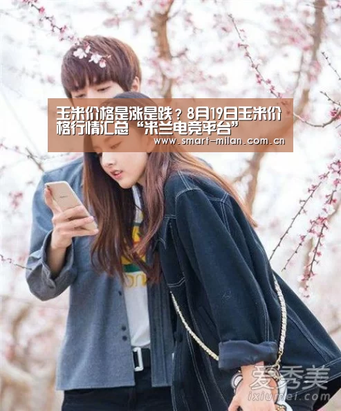玉米价格是涨是跌?8月19日玉米价格行情汇总“米兰电竞平台”(图2) 米兰平台