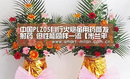 中国PLZ05自行火炮虽用药筒发射药 但性能同样一流【米兰平台】(图3) 米兰体育官网下载