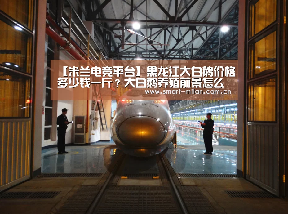 【米兰电竞平台】黑龙江大白鹅价格多少钱一斤?大白鹅养殖前景怎么样?(图3) 米兰体育官网下载